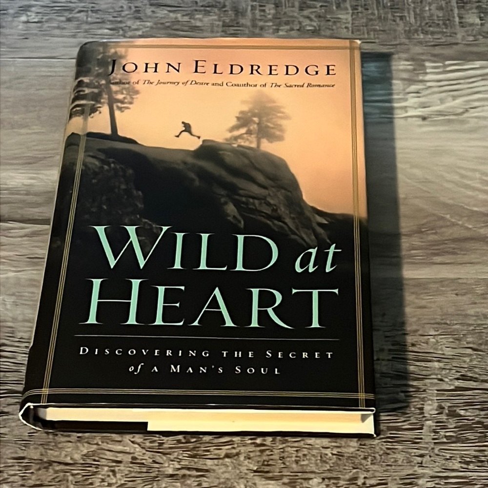 Wild at Heart by John Eldredge - Picture 1 of 4